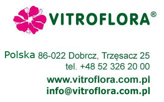 VITROFLORA саджанці багаторічних саджанців насіння саджанці кімнатні рослини в Польщі
